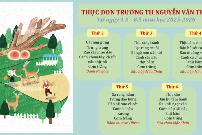 Thực đơn bán trú trường Tiểu học Nguyễn Văn Trỗi (04/05 – 08/05/2026)