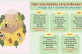 Thực đơn bán trú trường Tiểu học Nguyễn Văn Trỗi (11/05 – 15/05/2026)